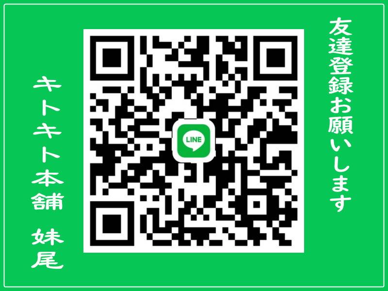 栄養補助食品 極茸霊芝：キトキト本舗