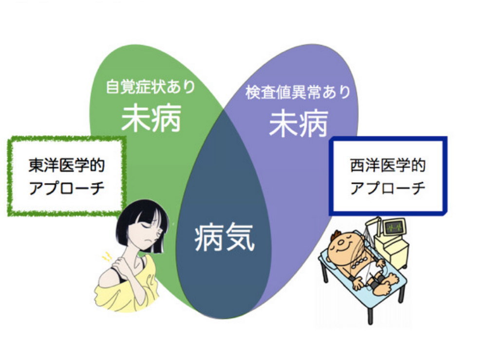 未病・生活習慣病・霊芝・黒高麗人蔘・漢方薬はキトキト本舗