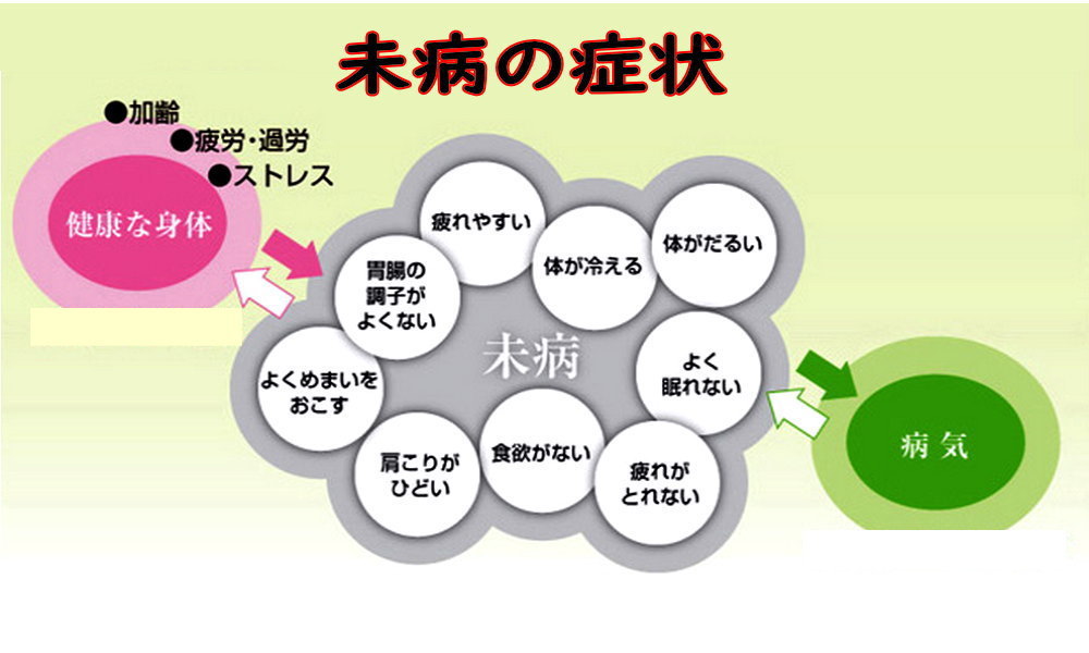 未病・生活習慣病・霊芝・黒高麗人蔘・漢方薬はキトキト本舗