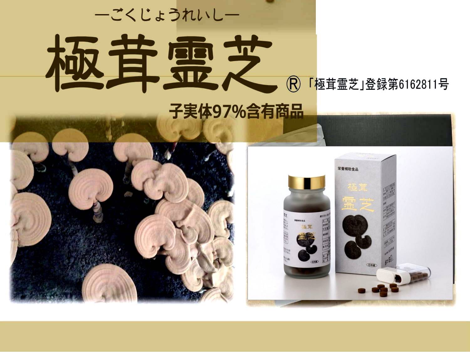 未病・生活習慣病・霊芝・黒高麗人蔘・漢方薬はキトキト本舗