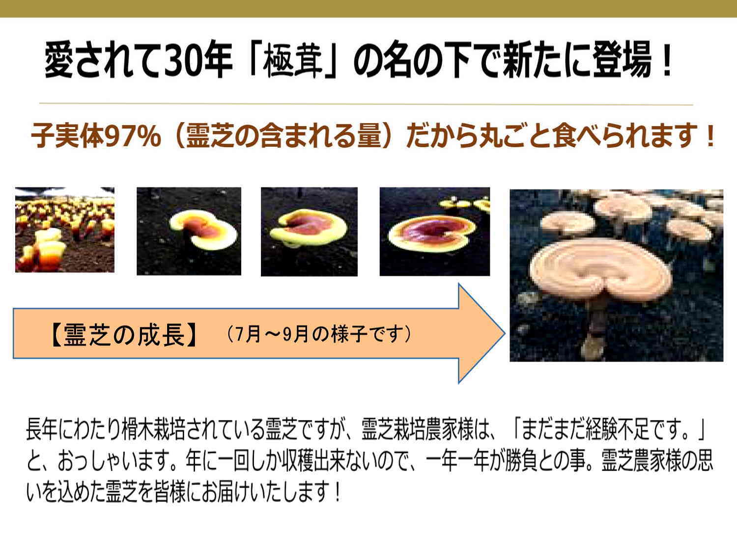 未病・生活習慣病・霊芝・黒高麗人蔘・漢方薬はキトキト本舗