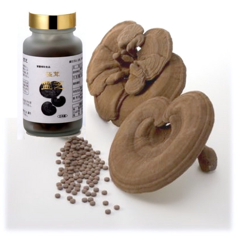 未病・生活習慣病・霊芝・黒高麗人蔘・漢方薬はキトキト本舗